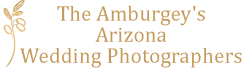 The Amburgey\\\'s Arizona Wedding Photographers